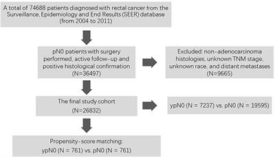 Neoadjuvant Chemoradiotherapy Does Not Contribute to Worse Survival in Pathological Node-Negative Rectal Cancer